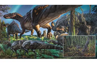 Group of dinosaurs traveling with a small mammal underfoot 