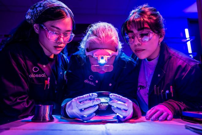 Colossal Biosciences team of researchers looking at hatched chick