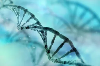 Strand of DNA