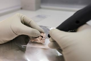 Sampling of inner ear discovery at the Megalithic society burial in Europe