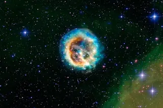 a supernova like this one may have caused a mass extinction