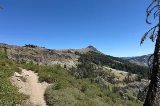 view along the PCT 