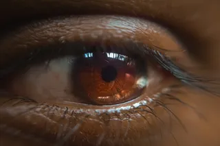 human eye ball 