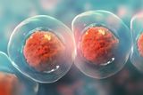 Human Cells Can Pass DNA to Each Other Through Tiny Tubes — Here's How It May Fuel Cancer Growth