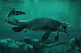 Tylosaurus rex in the prehistoric ocean