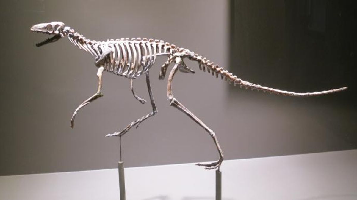 Marasuchus Was Built for Speed — and 5 Other Facts About an Ancient Dinosaur Relative