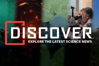 a collection of five images featuring an octopus, helium element, tyolosaurus rex, and more