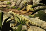 This 260-Million-Year-Old Reptile Fossil Is Reshaping the Story of Turtle Evolution