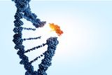 Gene Editing May Help Treat Dangerously High Cholesterol with Just One Infusion