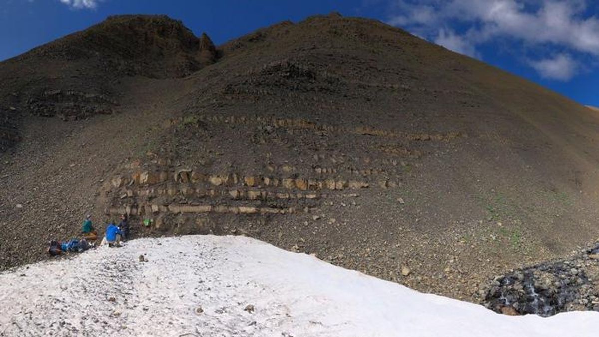 Clue in Alaskan Rocks Reveals Oceans Began Declining Long Before the ...