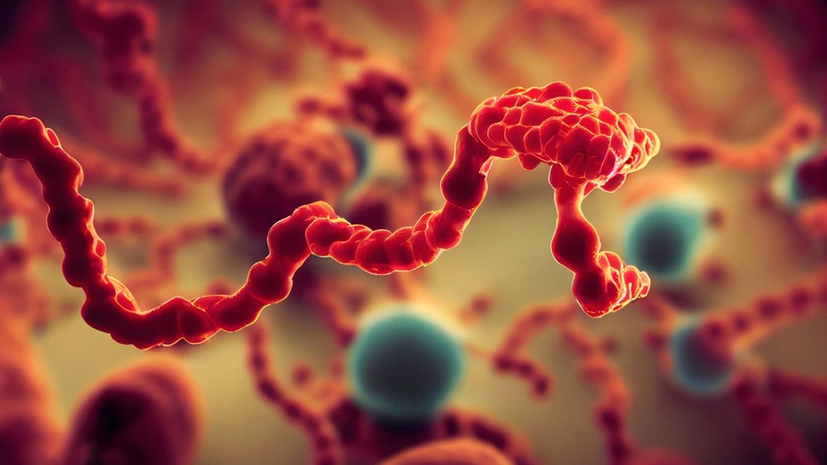 A Rare Ebola Virus Is Spreading in Central Africa — What To Know About ...