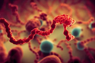 stringing ebola virus 