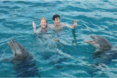 Swimming with dolphins program
