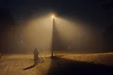 Person walking their dog on a foggy night