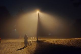 Person walking their dog on a foggy night