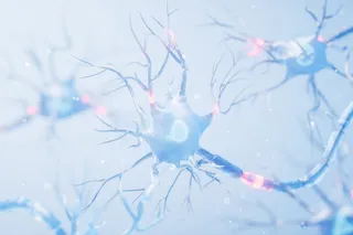 Illustration of brain cells and myelin-like nerve fibers, representing how an anti-aging drug combination affected brain insulation in mice.