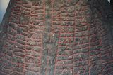 A Buried Ontario Runestone May Be North America’s 