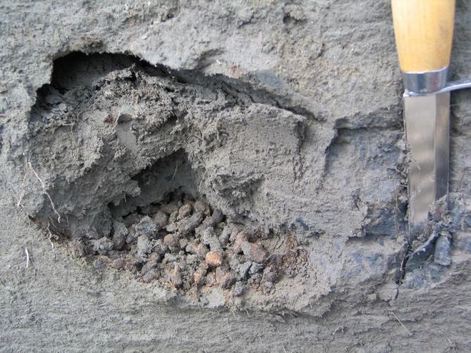 fossilized ground squirrel droppings 