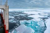 Previously Unexplored Arctic Seamount Reveals Pote