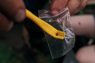 yellow tick remover with tick 
