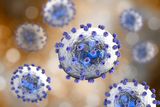 First-Ever Dual Vaccine for Lassa Virus and Rabies Deemed Safe in Human Trial