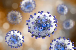 Illustration of the Lassa virus