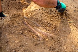 archaeologist excavating a dig site 