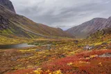 greenland landscape during the summer 