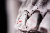 close up of human teeth in a skull 