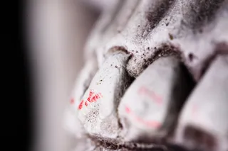 close up of human teeth in a skull
