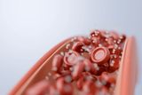 Can You Cut Out Too Much Sugar? Going Completely Sugar-Free May Disrupt Gut Health