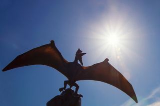 ​Silhouette of a pterosaur against the sun 