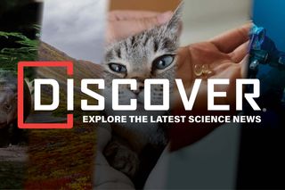 Collage of images from Discover Magazine top stories 