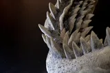 rows of megalodon teeth 