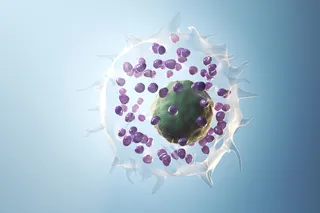 Mast cell related to histamine in the body