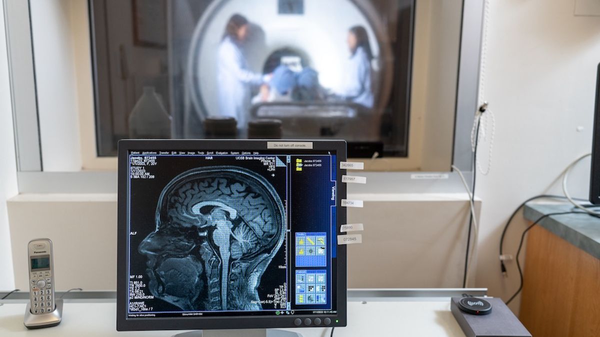 MRI Scans Reveal That Pregnancy Restructures the Brain — but Why It ...
