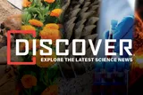 A collection of images associated with the top stories