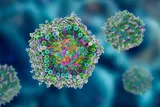 pentagonal-shaped mRNA vaccine 