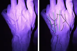 hands