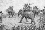 Hannibal's War Elephants May Hold the Key to a 2,000-Year-Old Alpine Mystery — and Why They Outlasted His Men