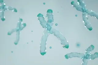 illustration of chromosomes