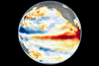 global heat map showing an el nino 