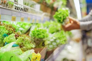 Lettuce in a grocery store