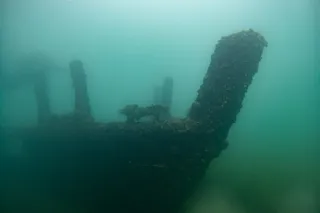 Sunken ship in murky water