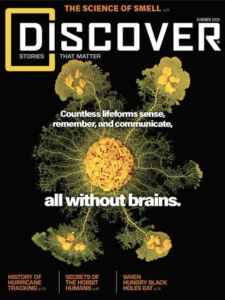 Summer Issue 2026 of Discover Magazine
