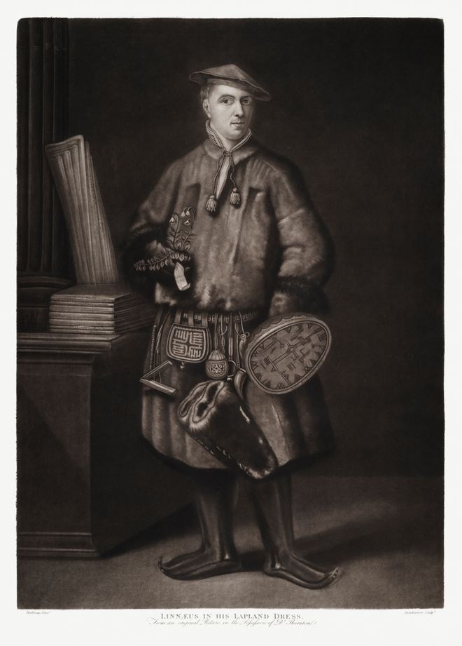 Carl Linnaeus portrait, a famous scientist
