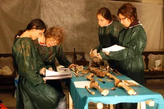 Researching the deaths of the Medici brothers 