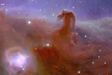 Euclid view of the horsehead nebula