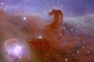 Euclid view of the horsehead nebula
