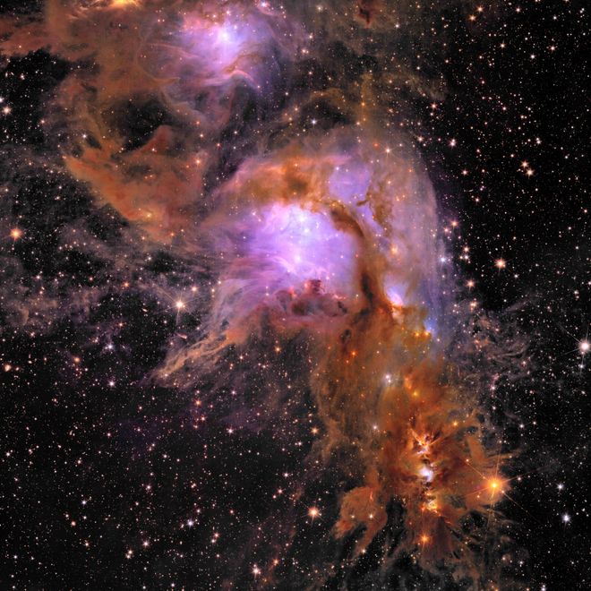 Euclid image of a star forming Euclid image of a star forming